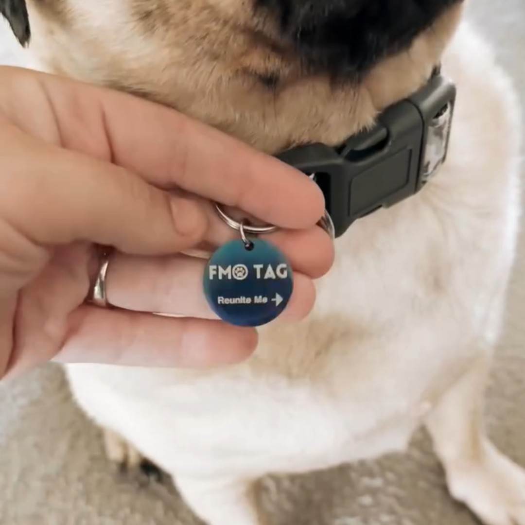 FMO Smart Alert Pet Tag